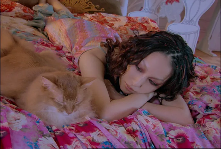 Mika Nakashima / MY SUGAR CAT