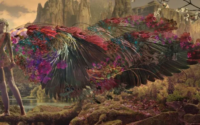 Migratory 